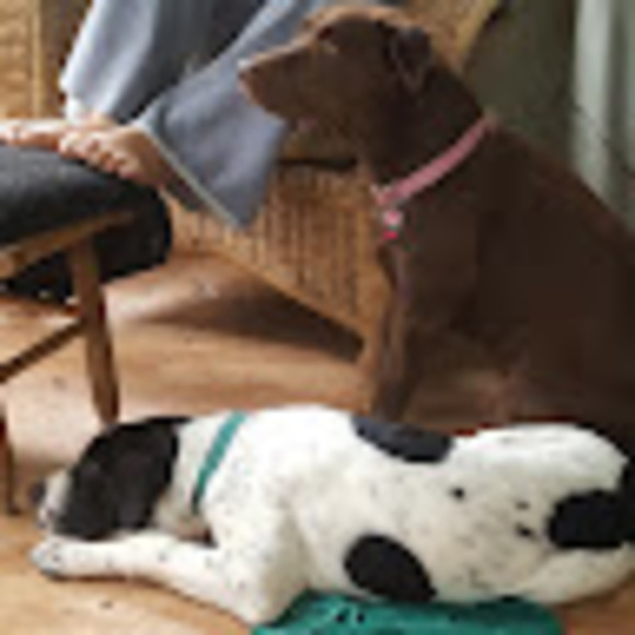 Meet your Posher, John - Picture 1 of 1